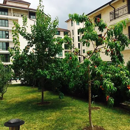 Amber Beach Appartement